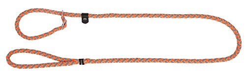 kerbl-maxi-safe-laisse-de-promenade-chien-noir-170-cm-nylon-r-fl-chissant image 4