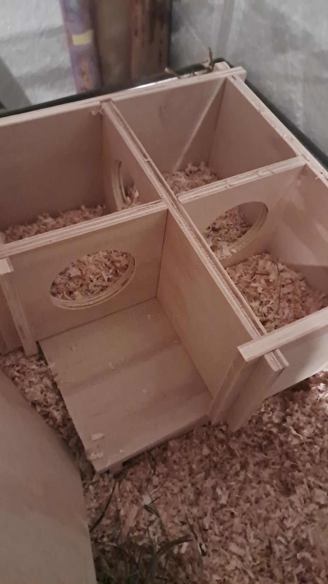 Bon petit abri naturel