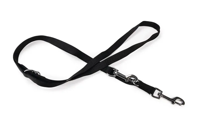 karlie-art-sportiv-basic-laisse-d-entra-nement-chien-nylon-noir-200-cm-x-25-mm image 1