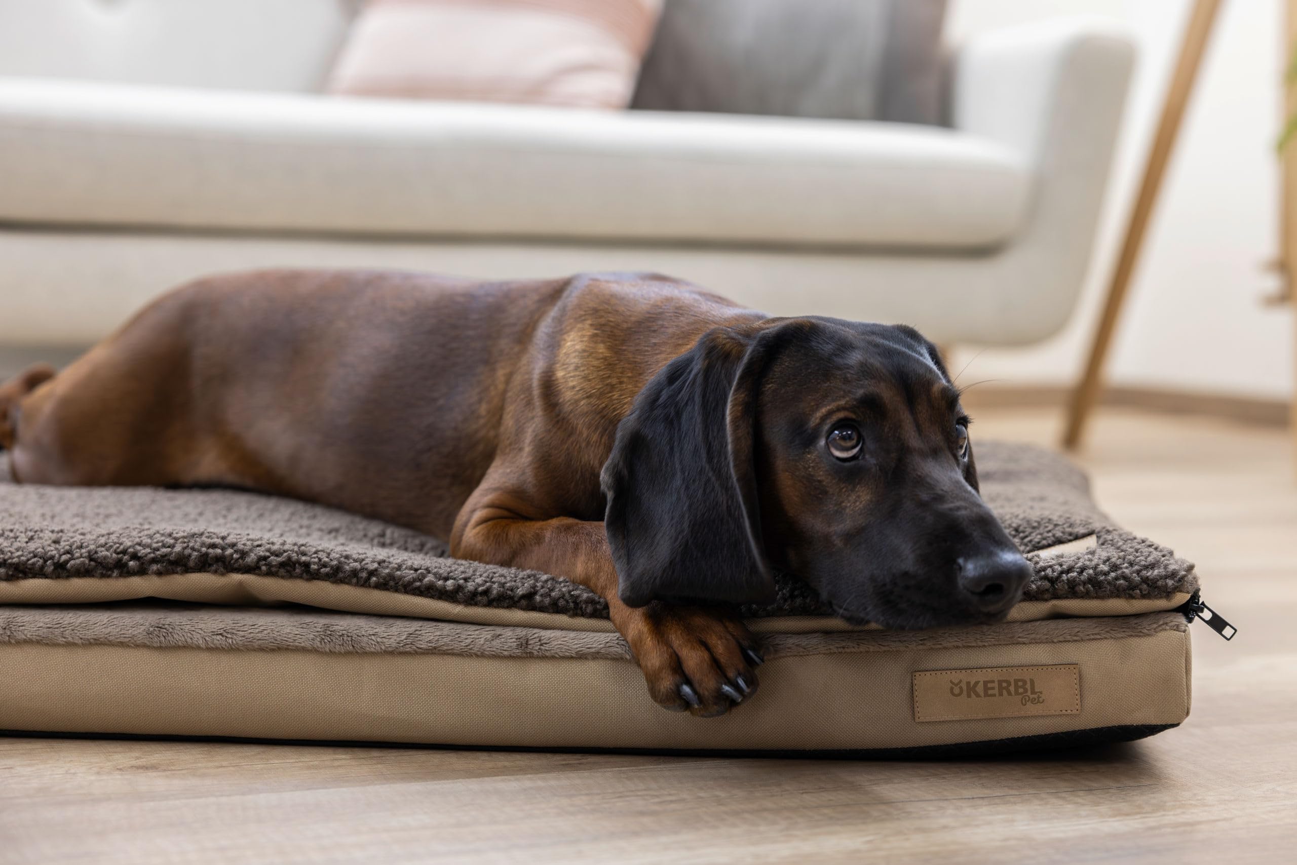 kerbl-pet-matelas-multifonctions-pour-chiens-orthop-dique-120-x-72-x-7-cm-beige- image 5