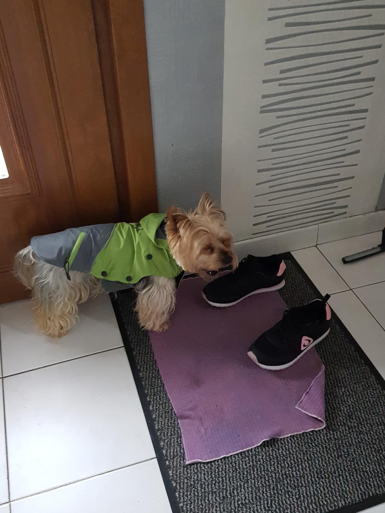 Chaud et imperméable