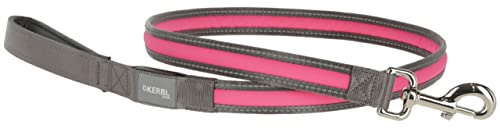 kerbl-pet-laisse-lumineuse-light-reflex-gris-jaune-fluo-120-cm-25-mm image 4