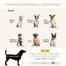 pawhut-canap-pour-chien-avec-rangement-cach-et-mousse-confort-gris-clair image 5