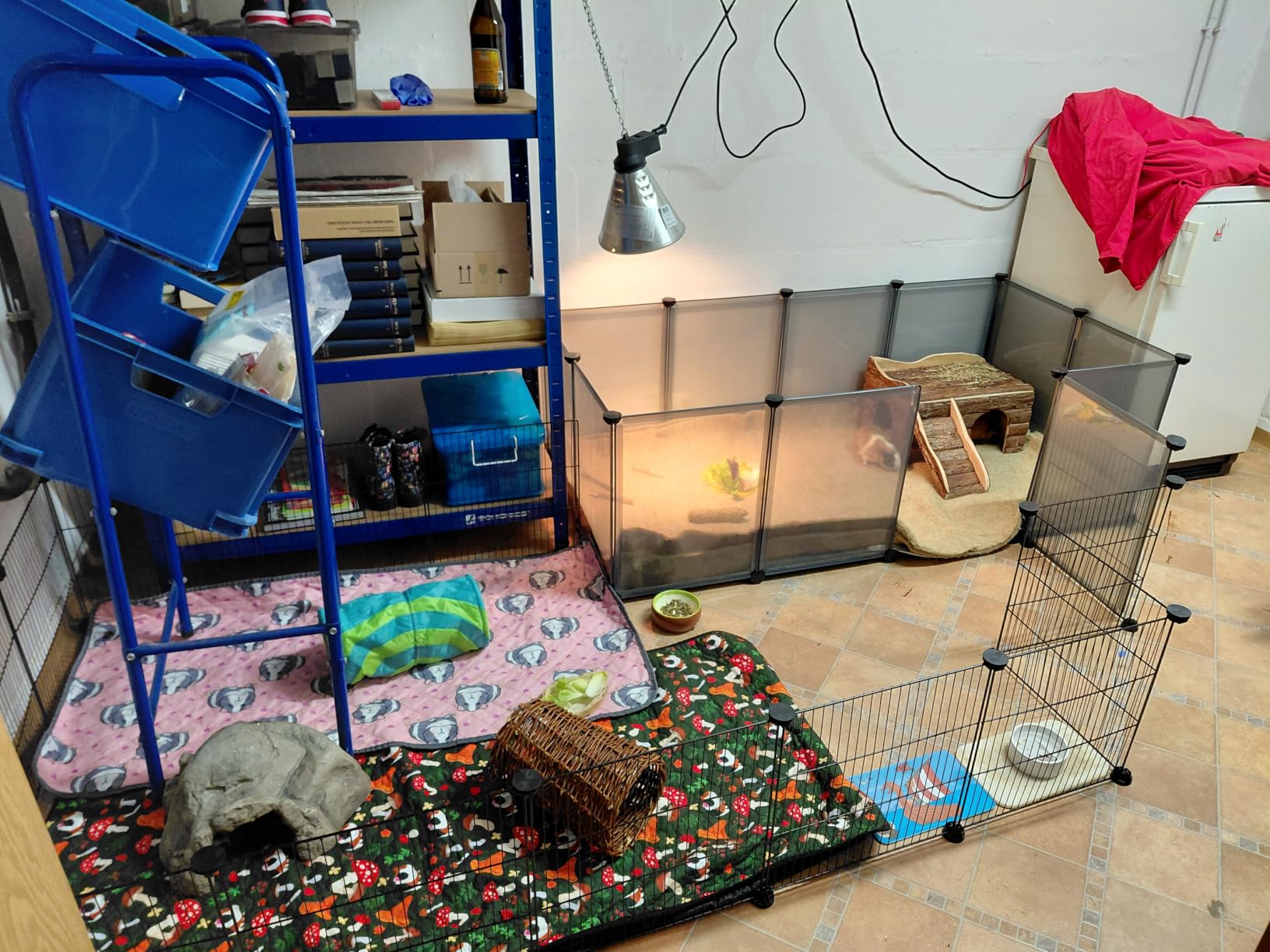 Parc parfait pour mes lapins