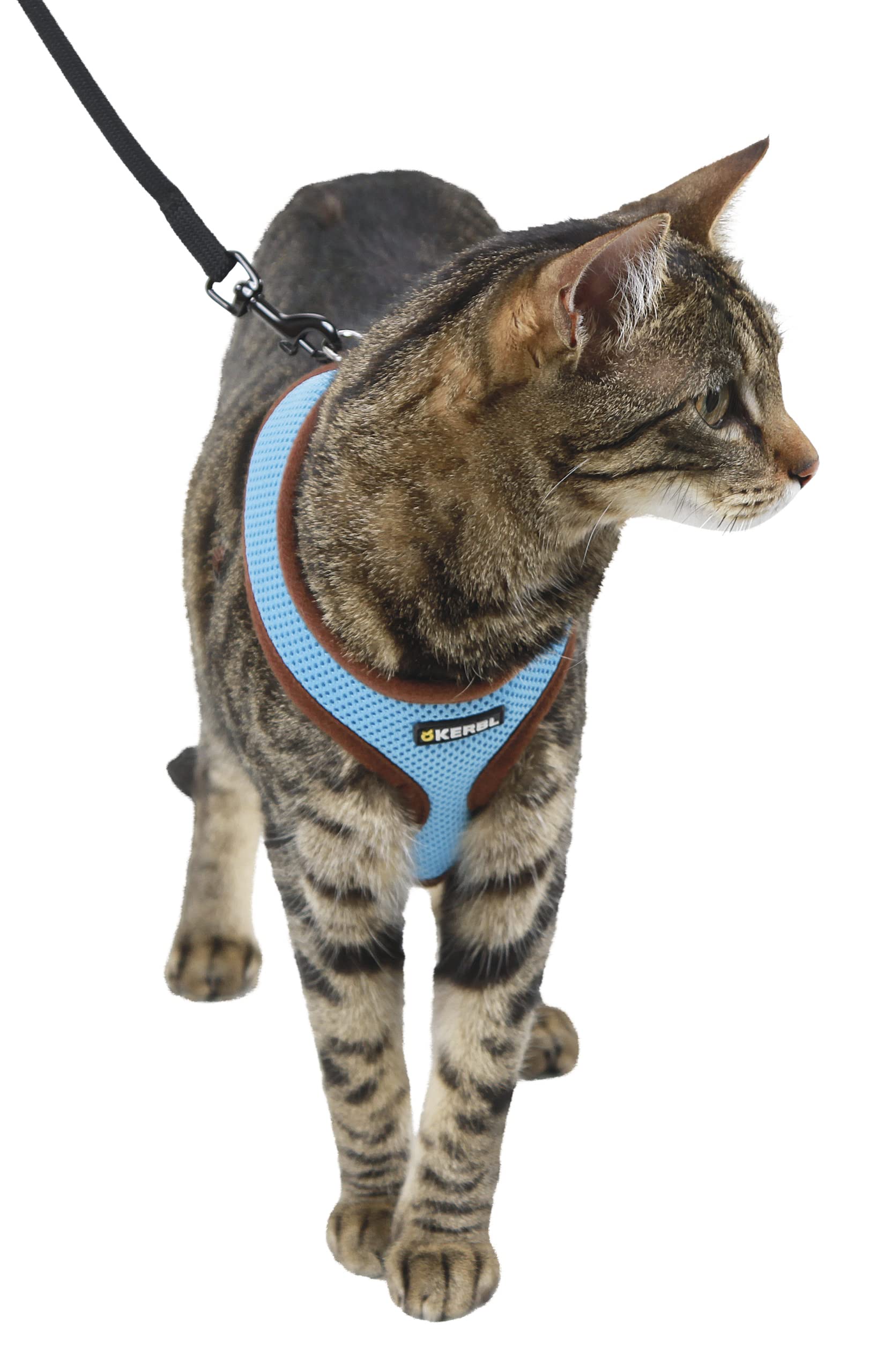 kerbl-active-bleu-harnais-pour-chat-en-maille-douce-avec-laisse-120-cm image 2