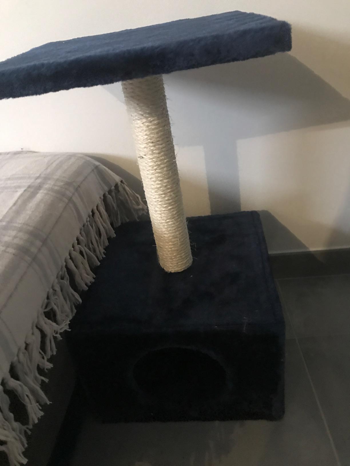 Adopté dès le premier soir