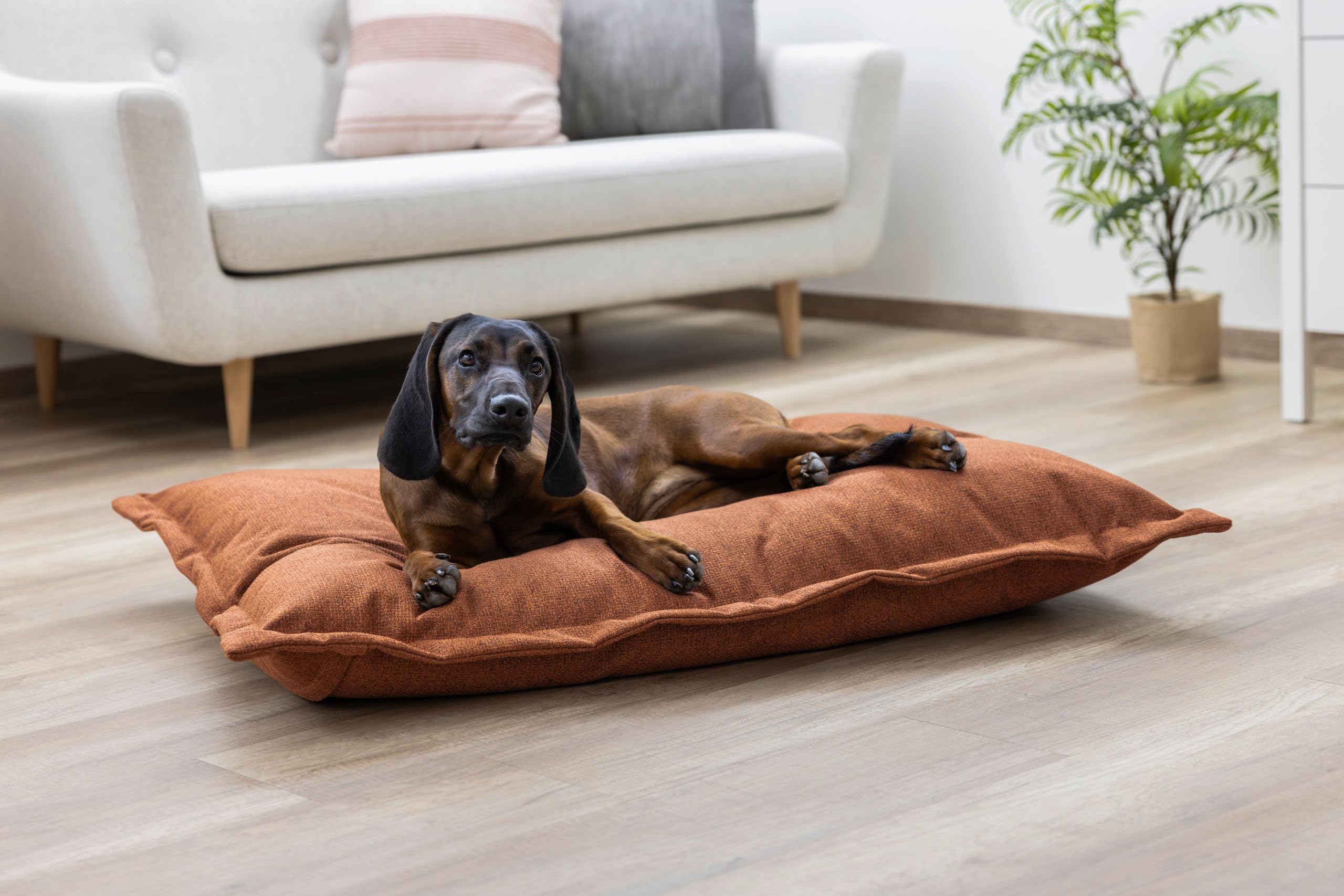 kerbl-oliver-sac-moelleux-lit-pour-chien-marron-80x60x15-cm image 2