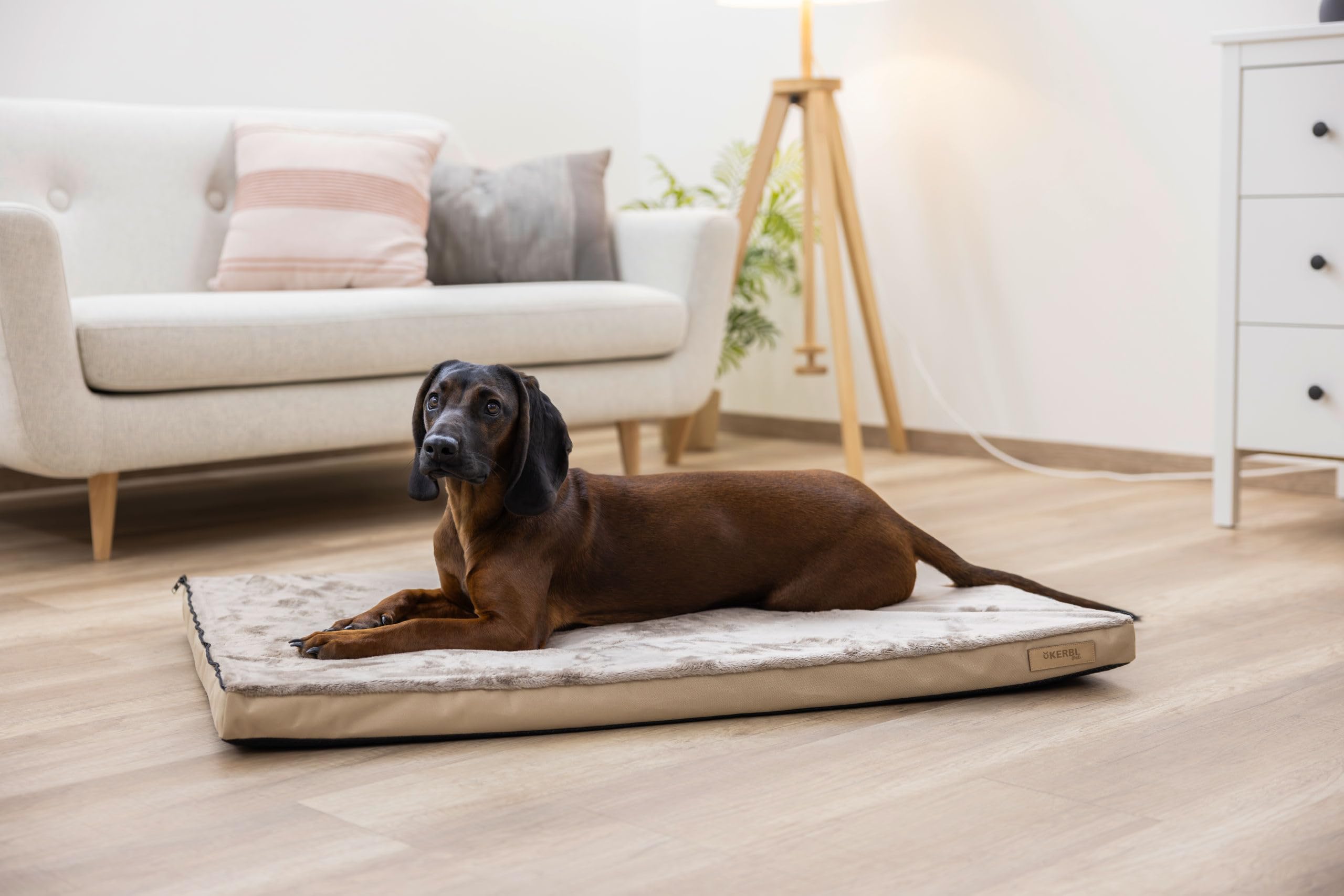 kerbl-pet-matelas-multifonctions-pour-chiens-orthop-dique-120-x-72-x-7-cm-beige- image 6