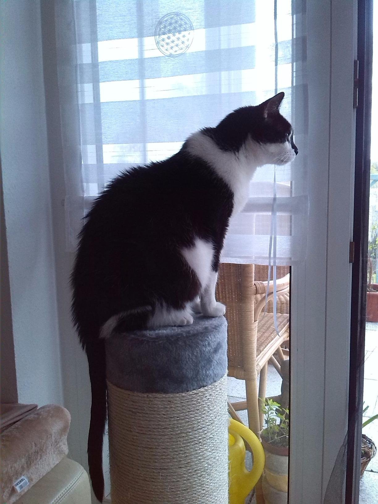 Bien mais le sisal s'use