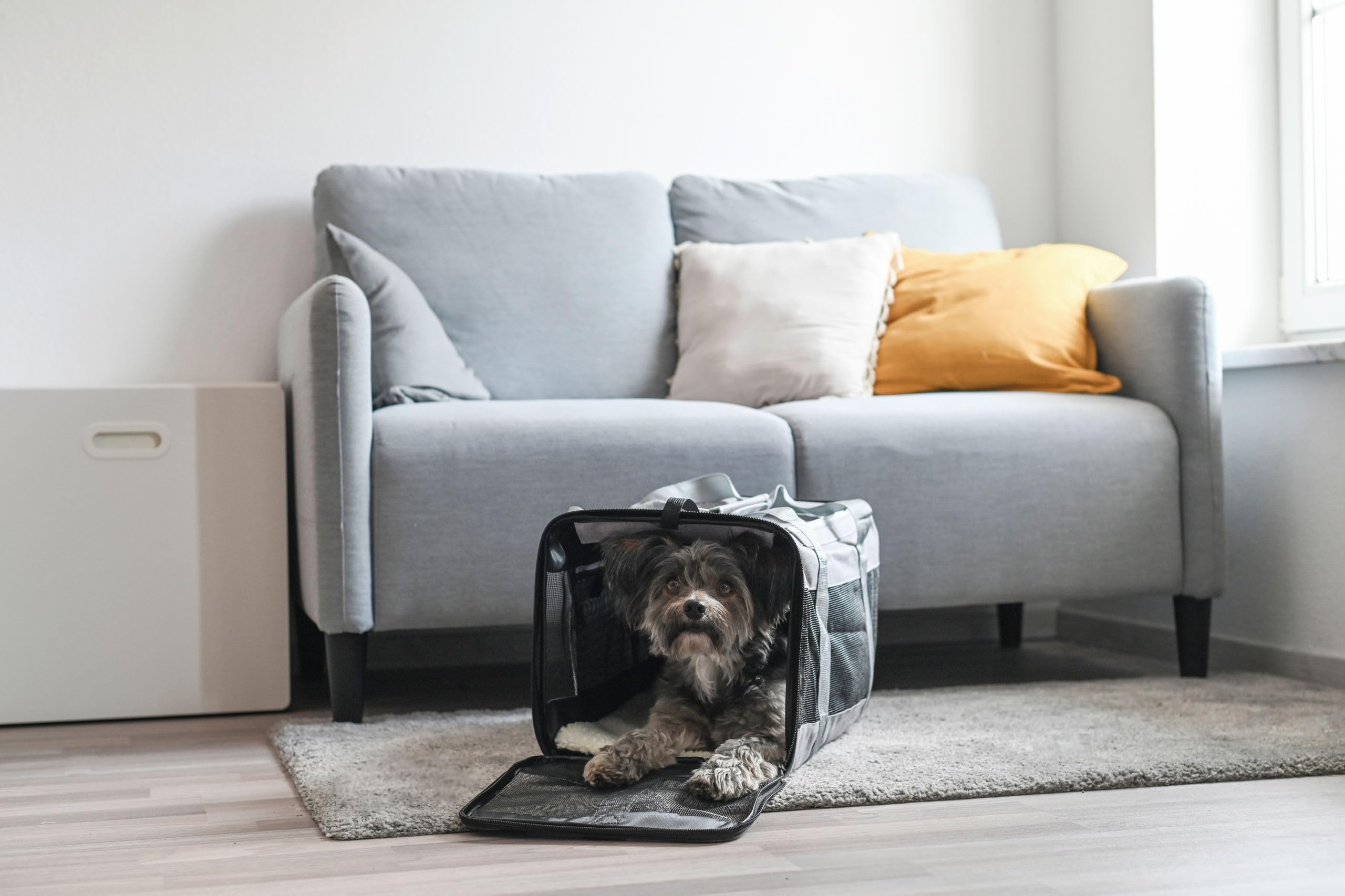kerbl-pet-sac-de-transport-casual-gris-41-x-28-x-29-cm-pour-petits-chiens image 4