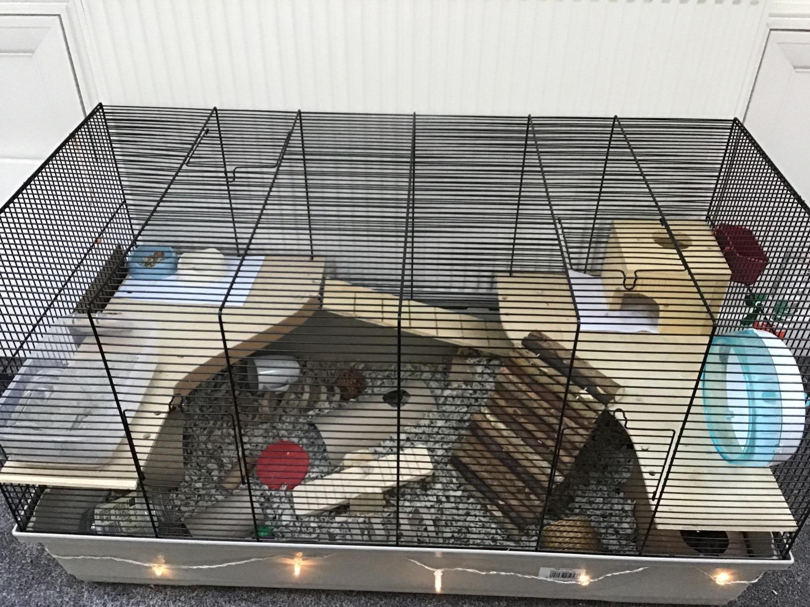 Déçue par la grille