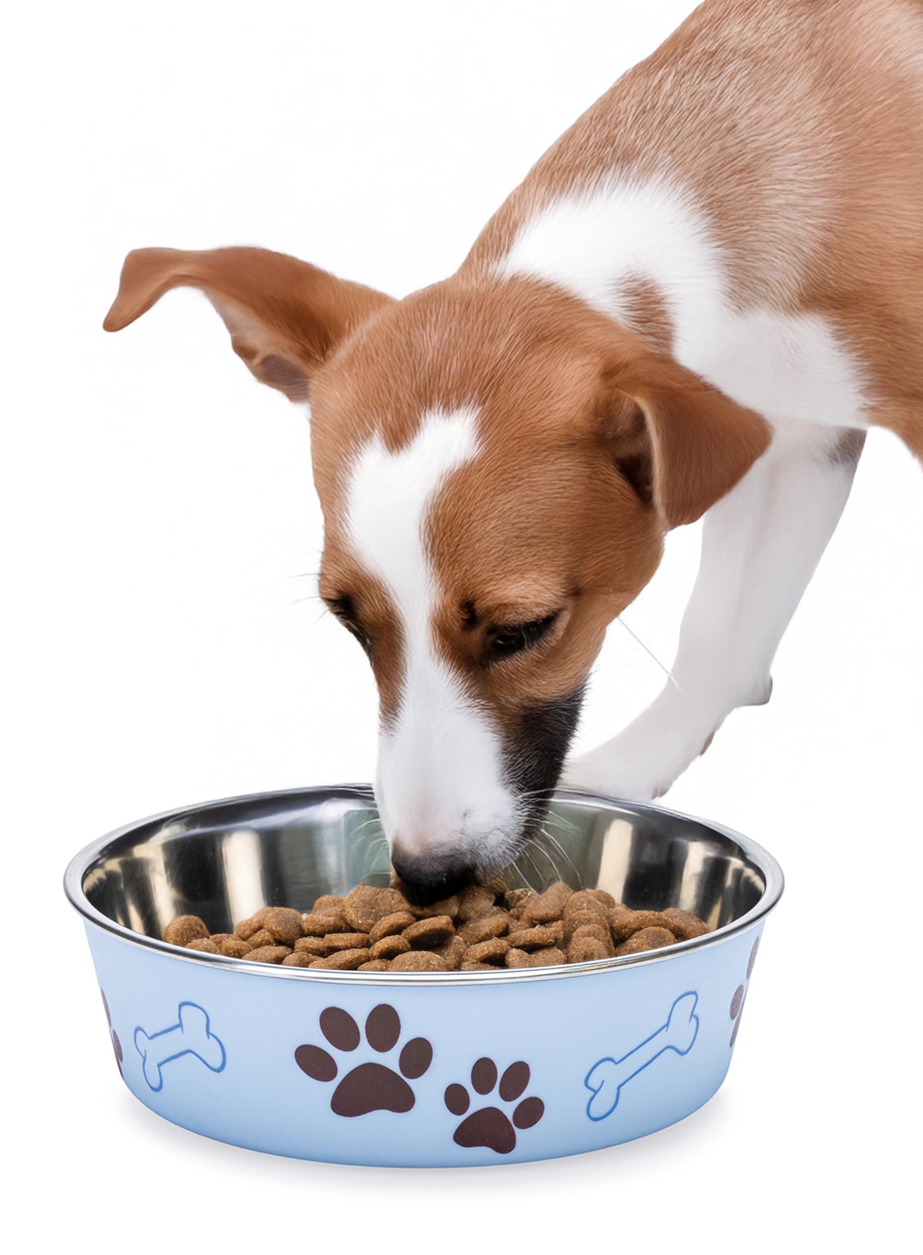 karlie-ascar-gamelle-chien-inox-bleu-clair-800-ml-15-17-cm image 2