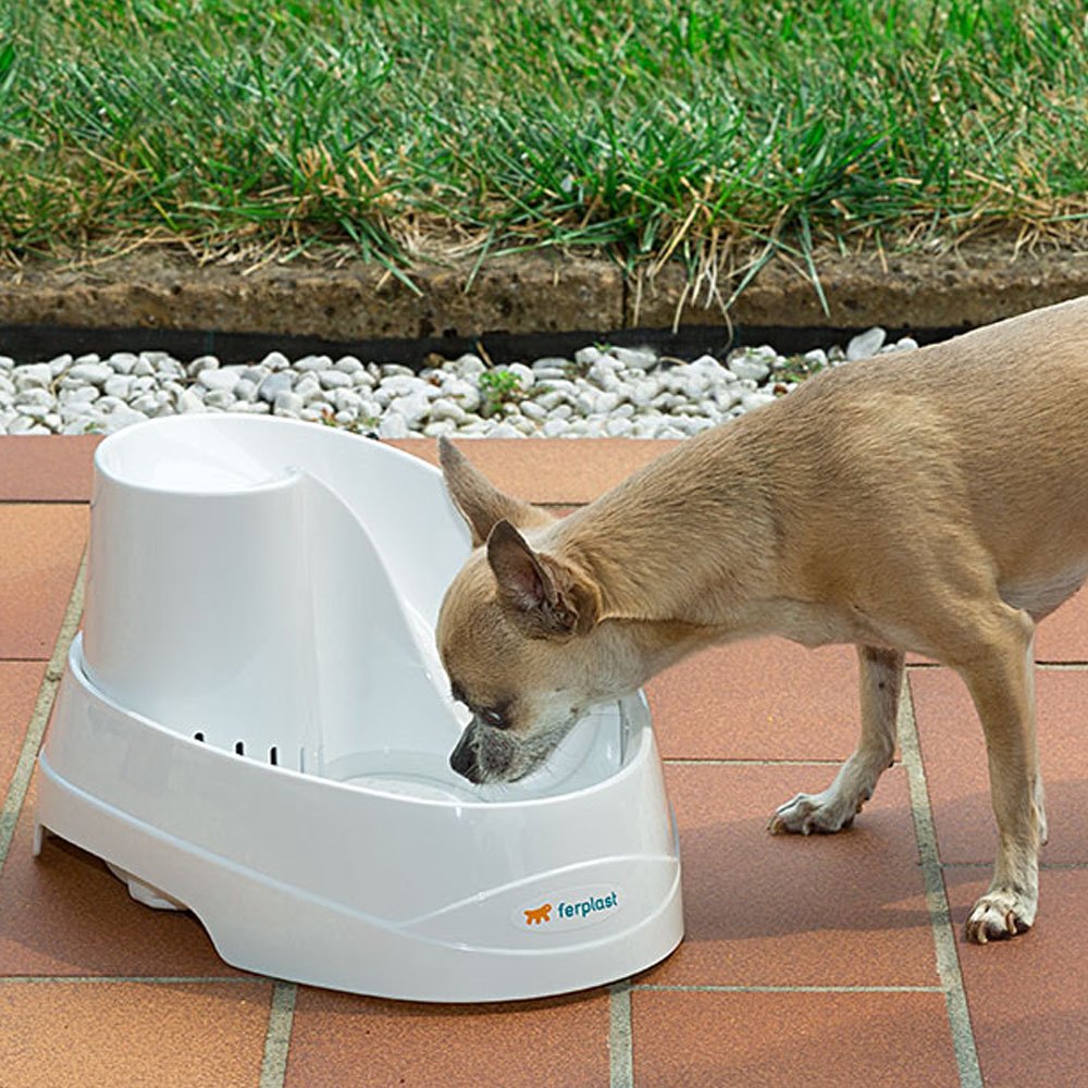 ferplast-vega-fontaine-eau-automatique-pour-chats-et-petits-chiens-2-l-filtre-ch image 4