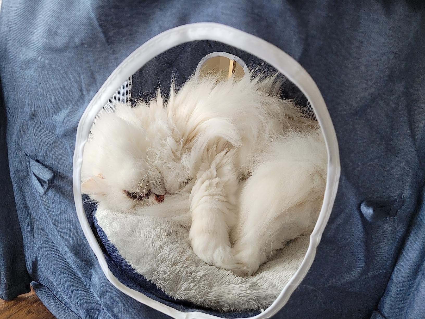 Fragile pour gros joueur