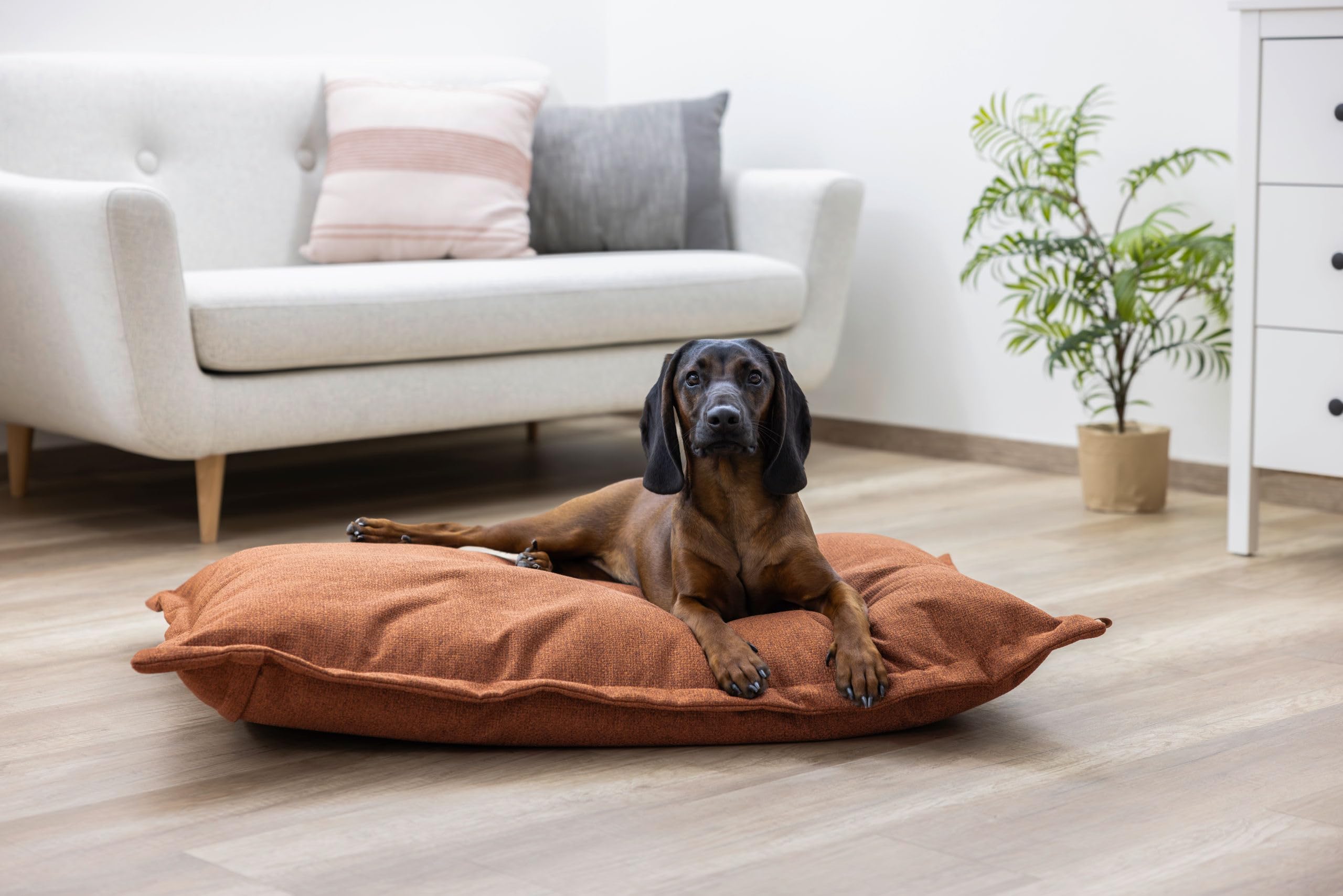 kerbl-oliver-sac-moelleux-lit-pour-chien-marron-80x60x15-cm image 7