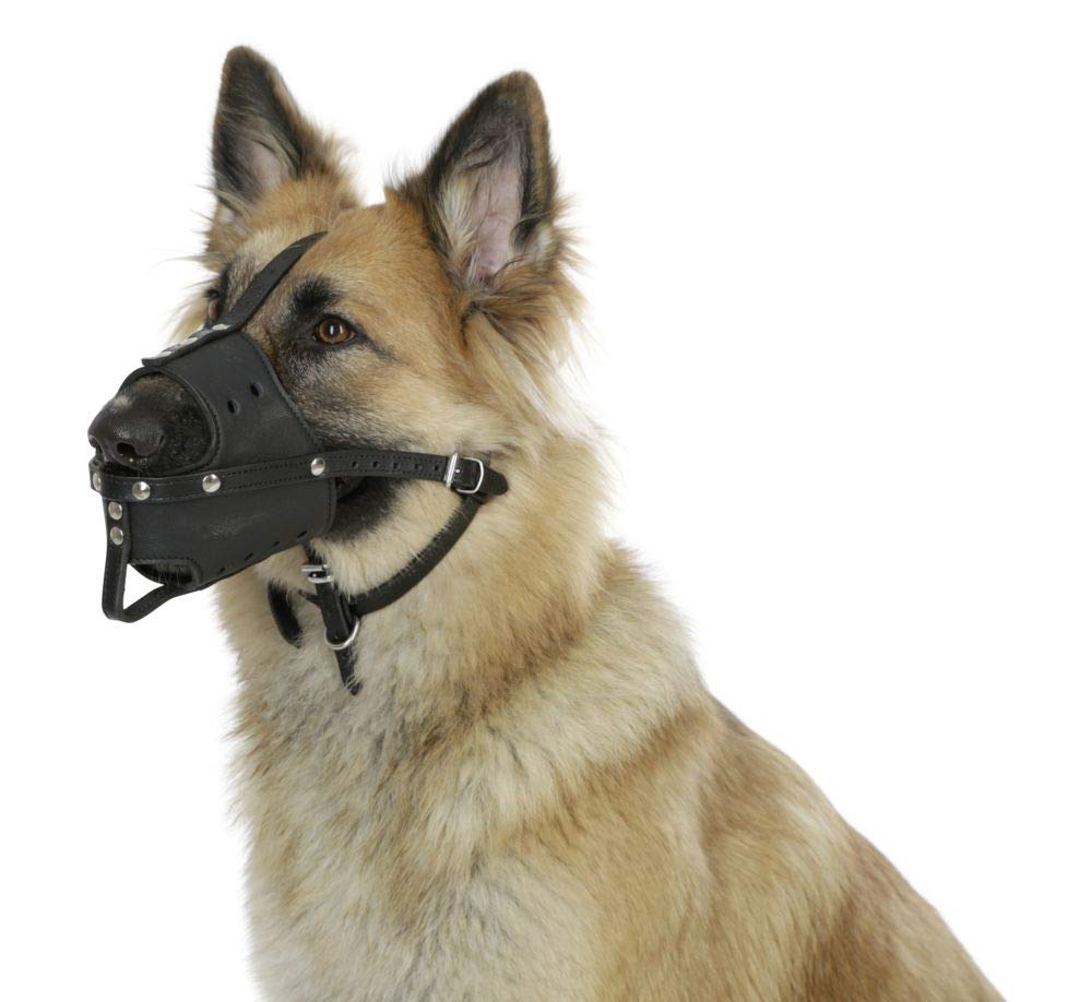 kerbl-museli-re-en-cuir-noir-8-5-x-30-cm-pour-chien image 1