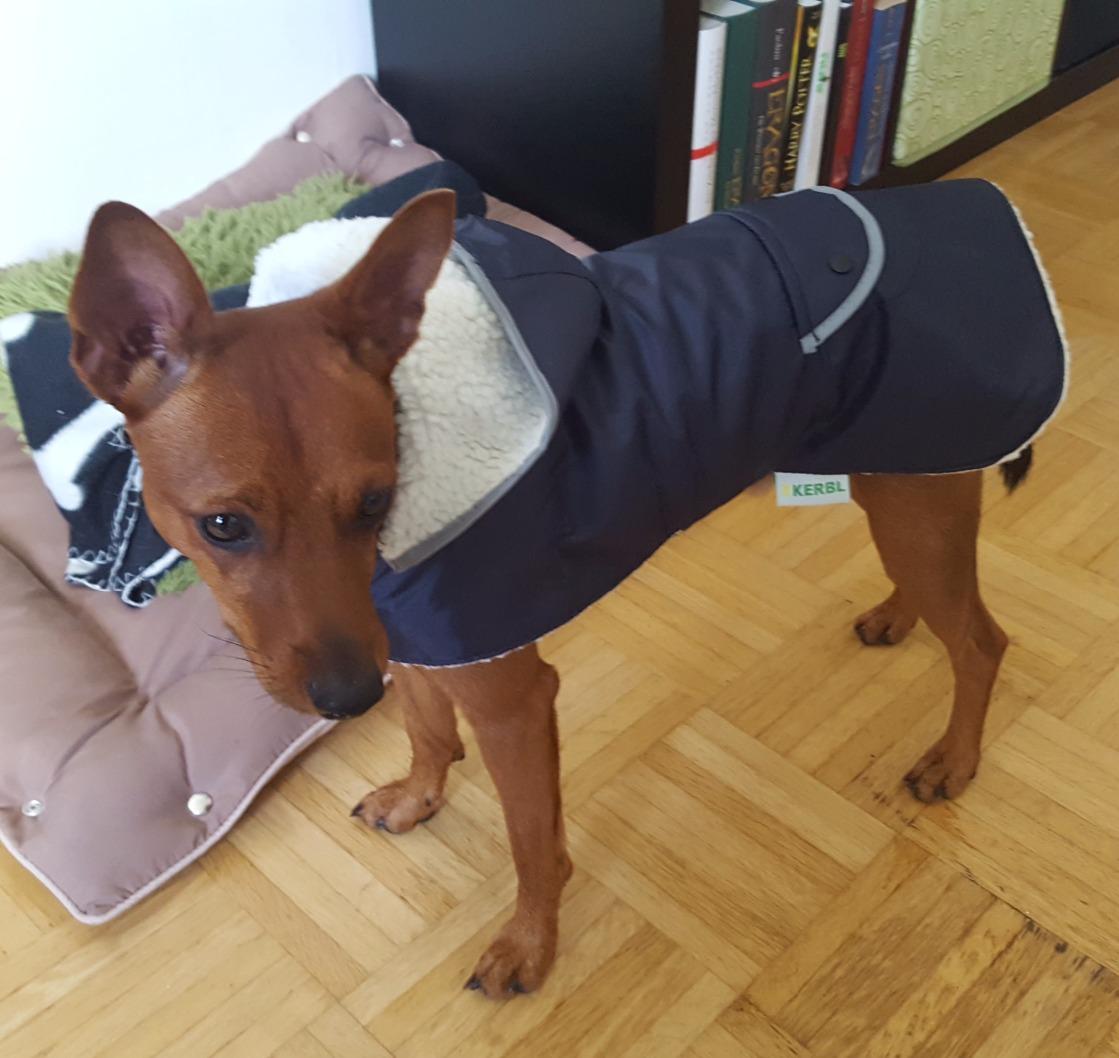 Bon manteau d'hiver