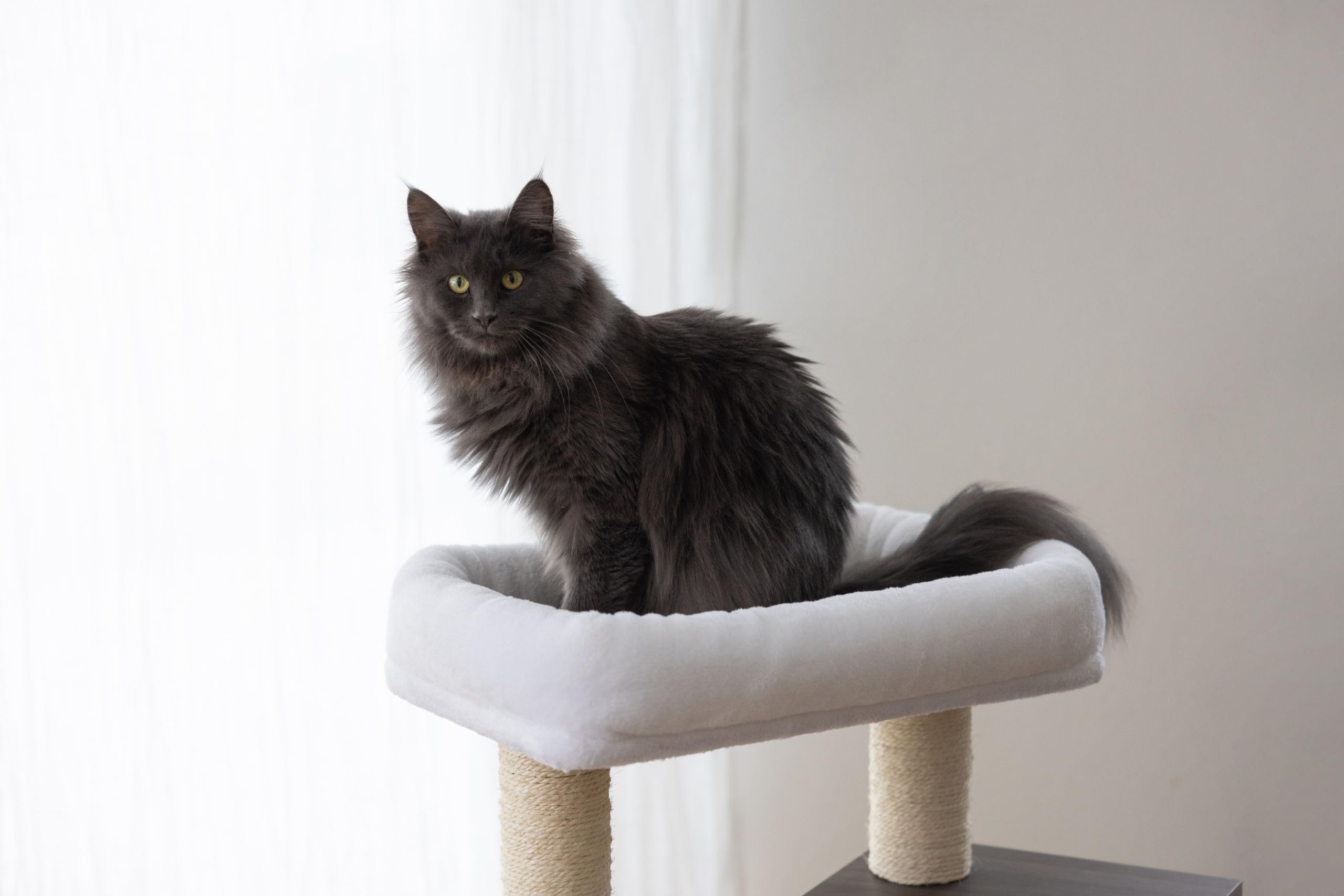 kerbl-pet-arbre-chat-flair-48x44x86-cm-blanc-gris image 3