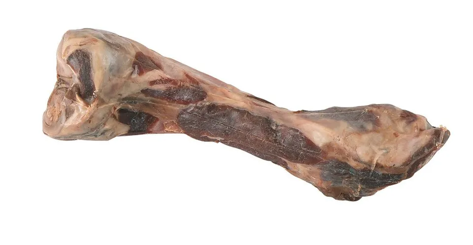 kerbl-pet-os-de-jambon-italien-24-cm-390-g-pour-chien image 1