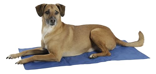 kerbl-pet-coolrelax-tapis-rafra-chissant-pour-chien-bleu-50x40cm image 8