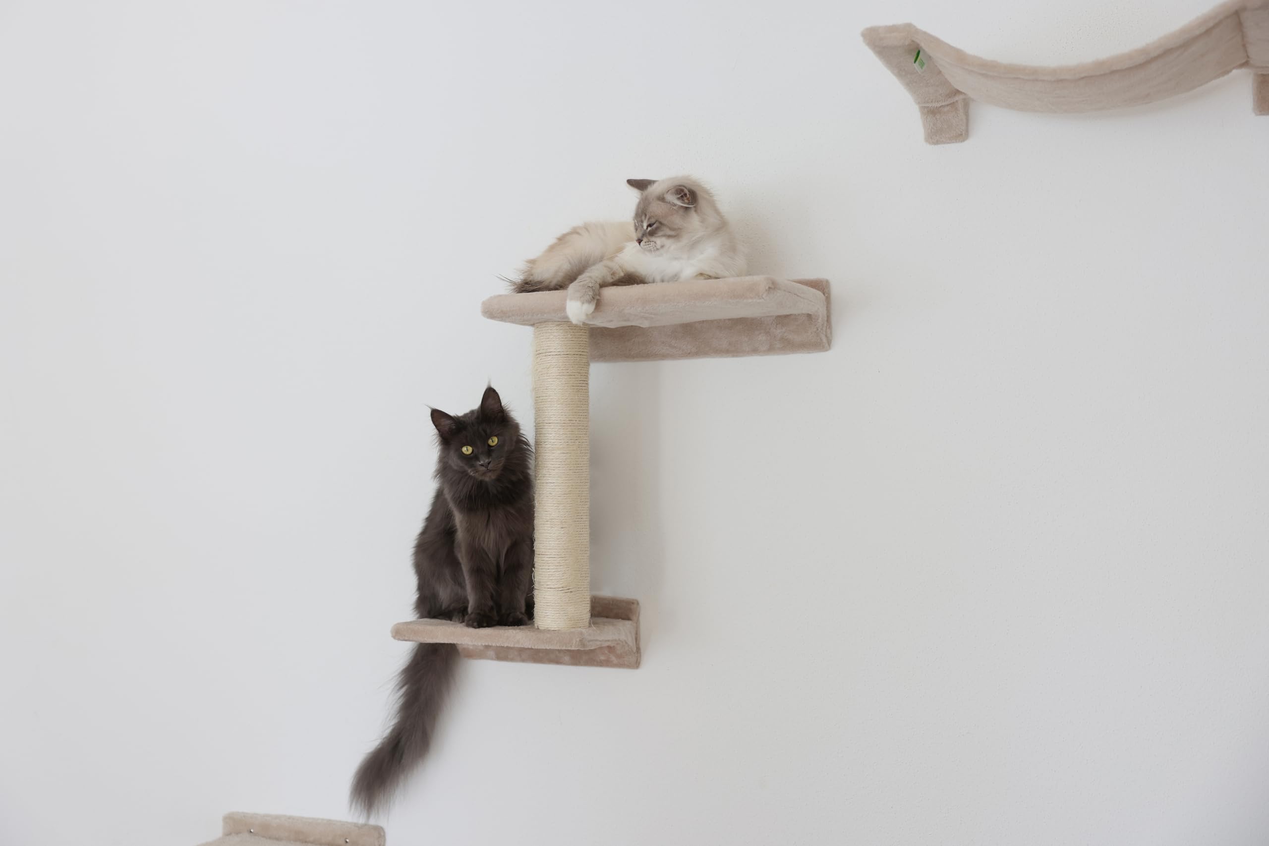 kerbl-maxi-pet-zugspitze-mur-d-escalade-chat-beige-5-pi-ces image 4