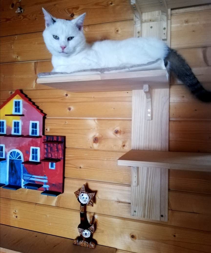 Parfait pour 3 chats