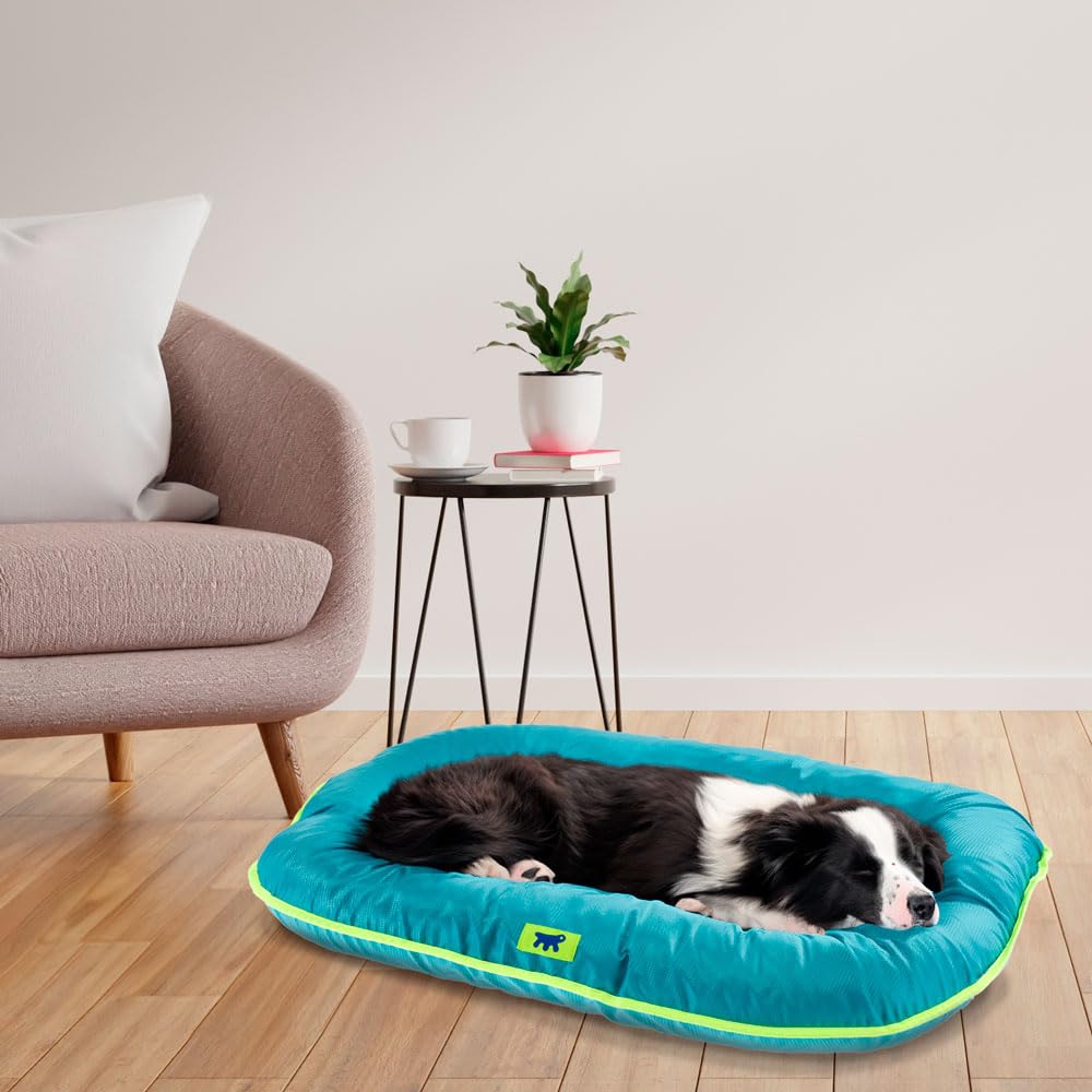 ferplast-oscar-80-matelas-pour-chien-moyen-anti-rayures-imperm-able-bleu-80-x-60 image 3