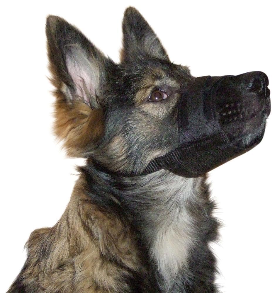 kerbl-museli-re-chien-en-nylon-noir-r-glable-12-14-cm image 3
