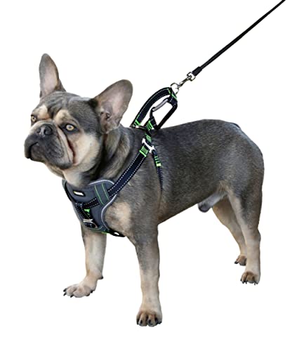 kerbl-harnais-pour-voiture-chien-noir-50-65-cm-20-mm image 8