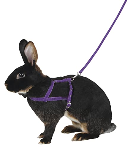 kerbl-agility-harnais-pour-chien-lilas-taille-l-laisse-2-m image 4