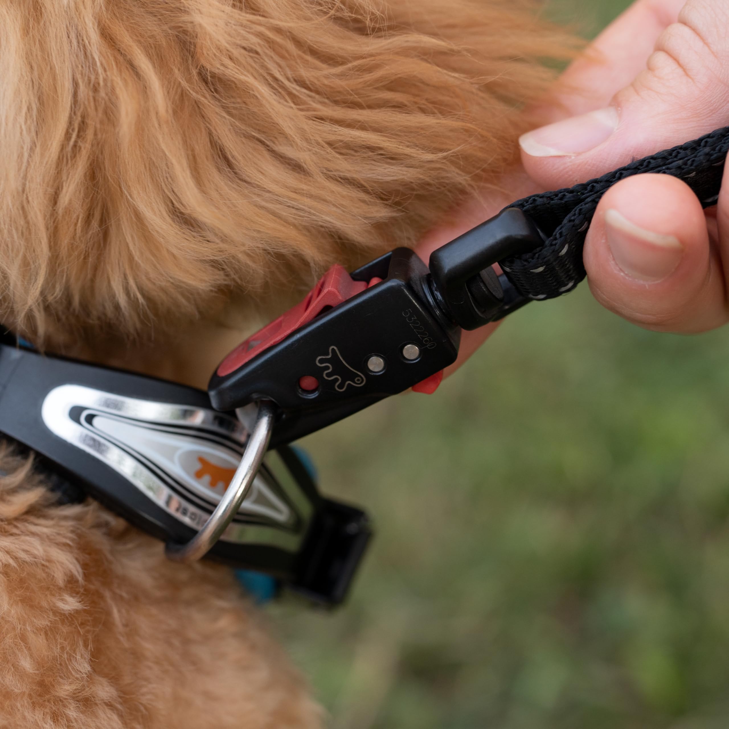ferplast-ergofluo-c15-33-collier-pour-chien-bleu image 3