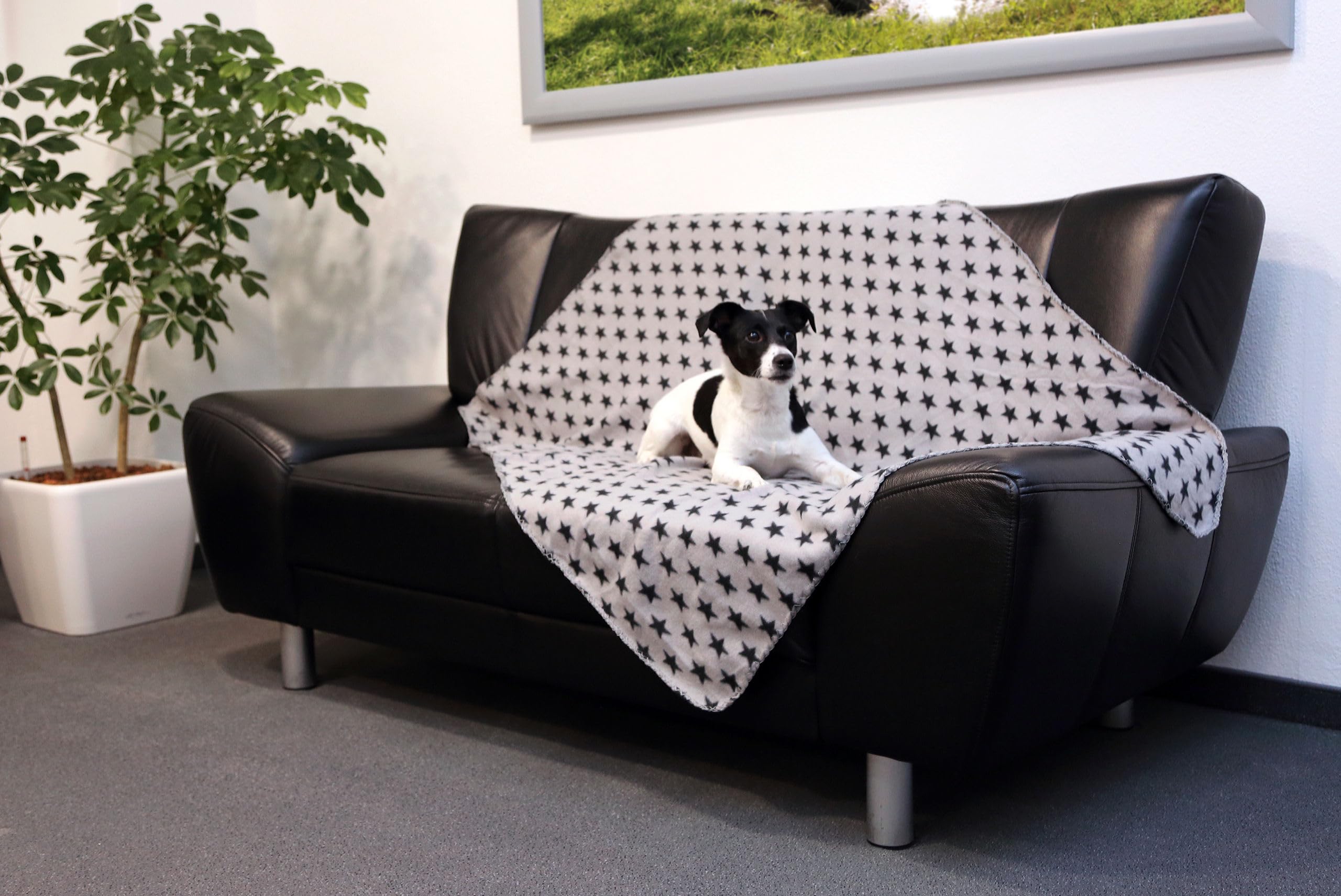 kerbl-stella-couverture-pour-chien-140-x-100-cm-motif-toiles image 4