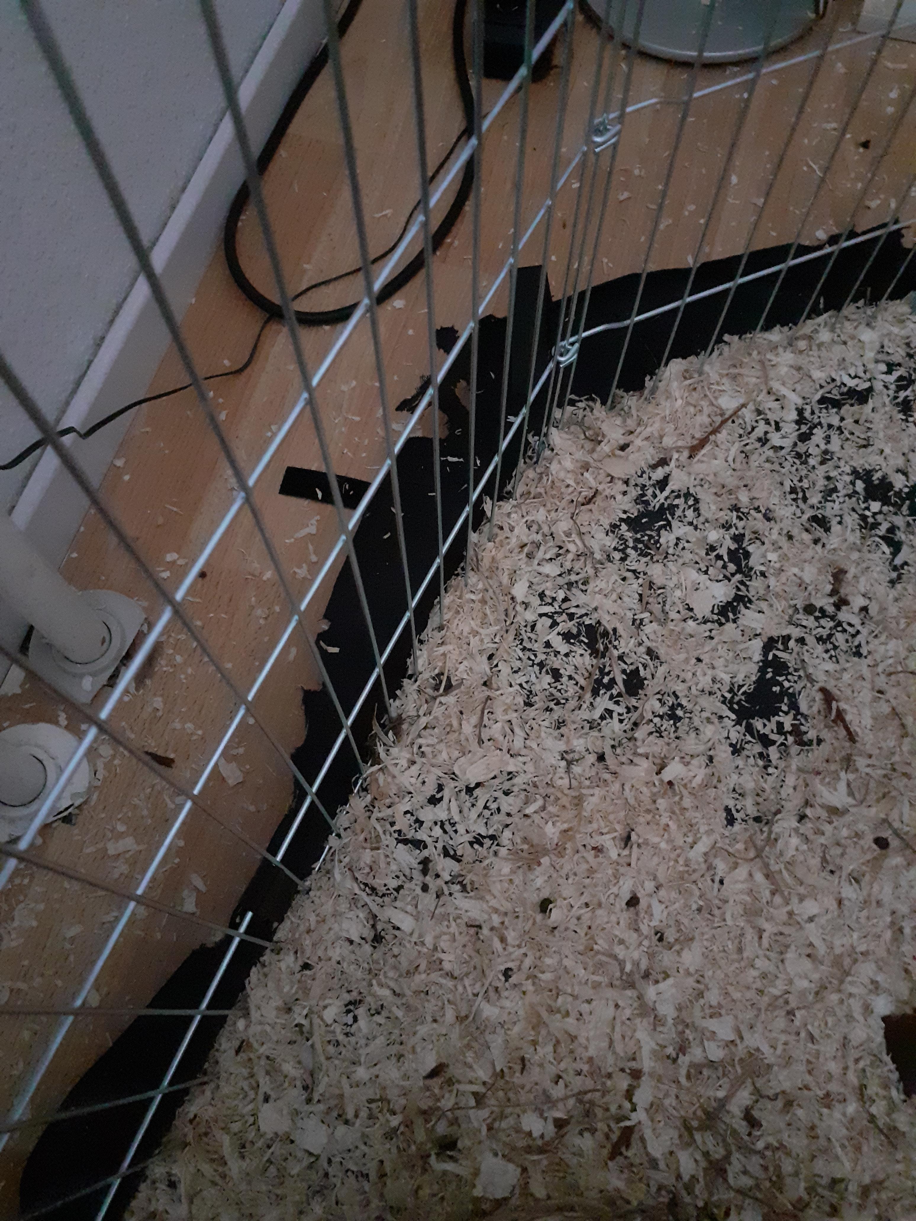 Fini la boue dans le clapier