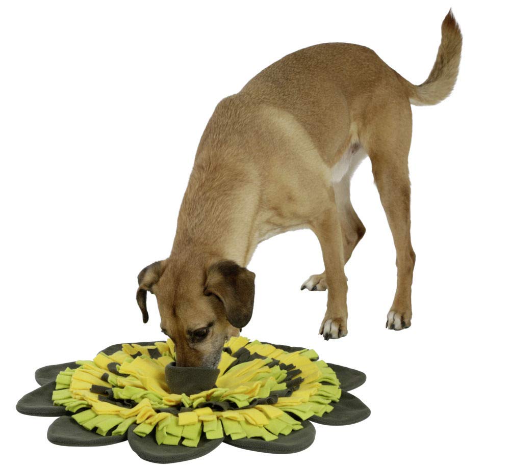 kerbl-pet-tapis-renifler-sunflower-jaune-vert-40-cm image 4