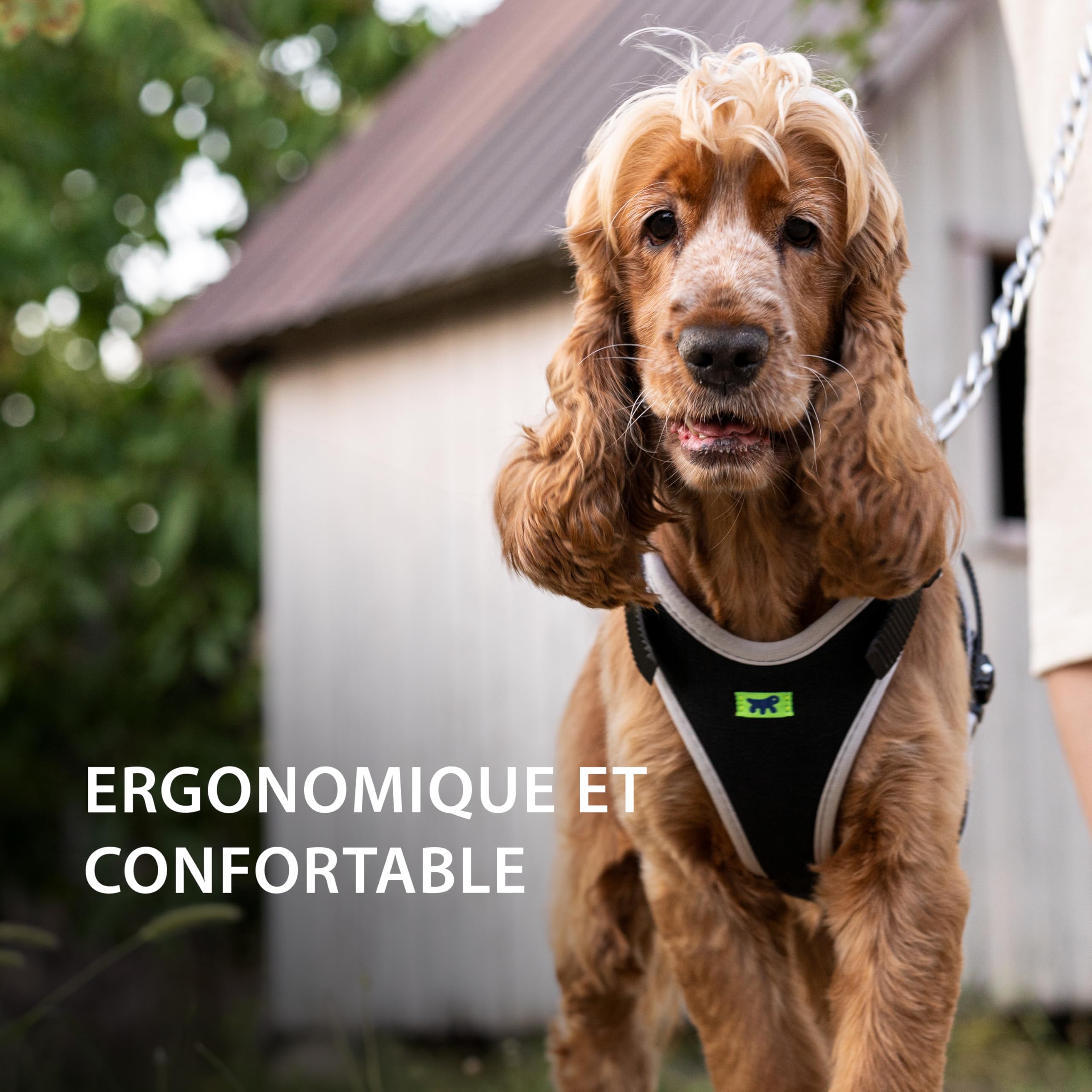 ferplast-ergocomfort-harnais-petit-chien-xs-argent-poids-max-15-kg image 3