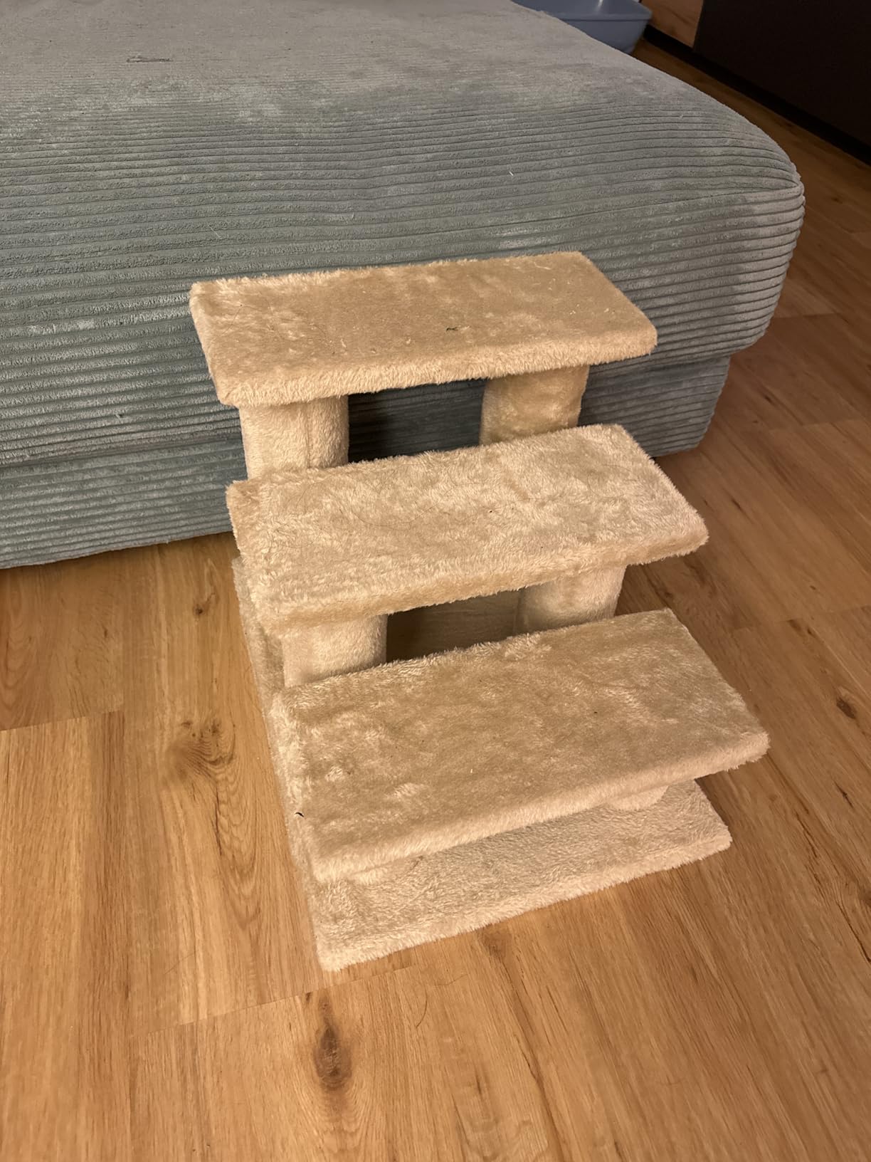Soulage mon vieux teckel