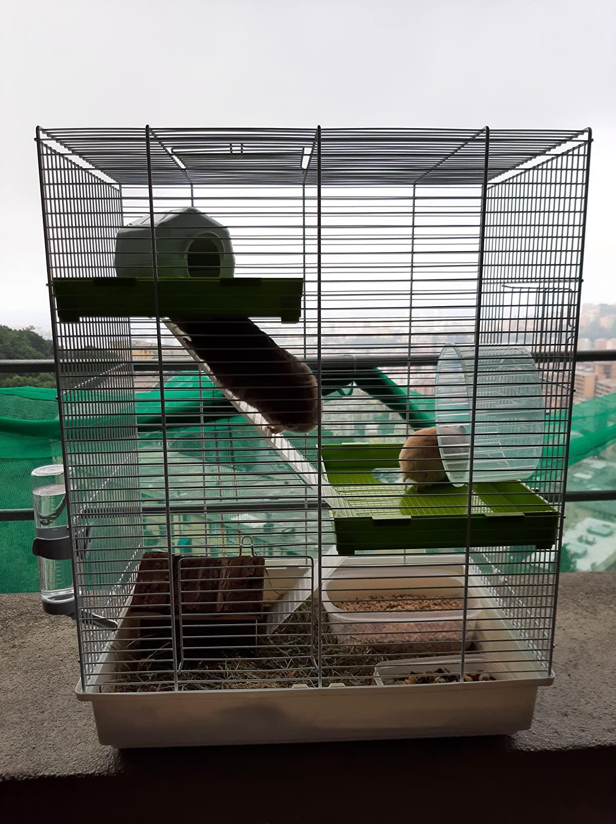 Super cage à étages