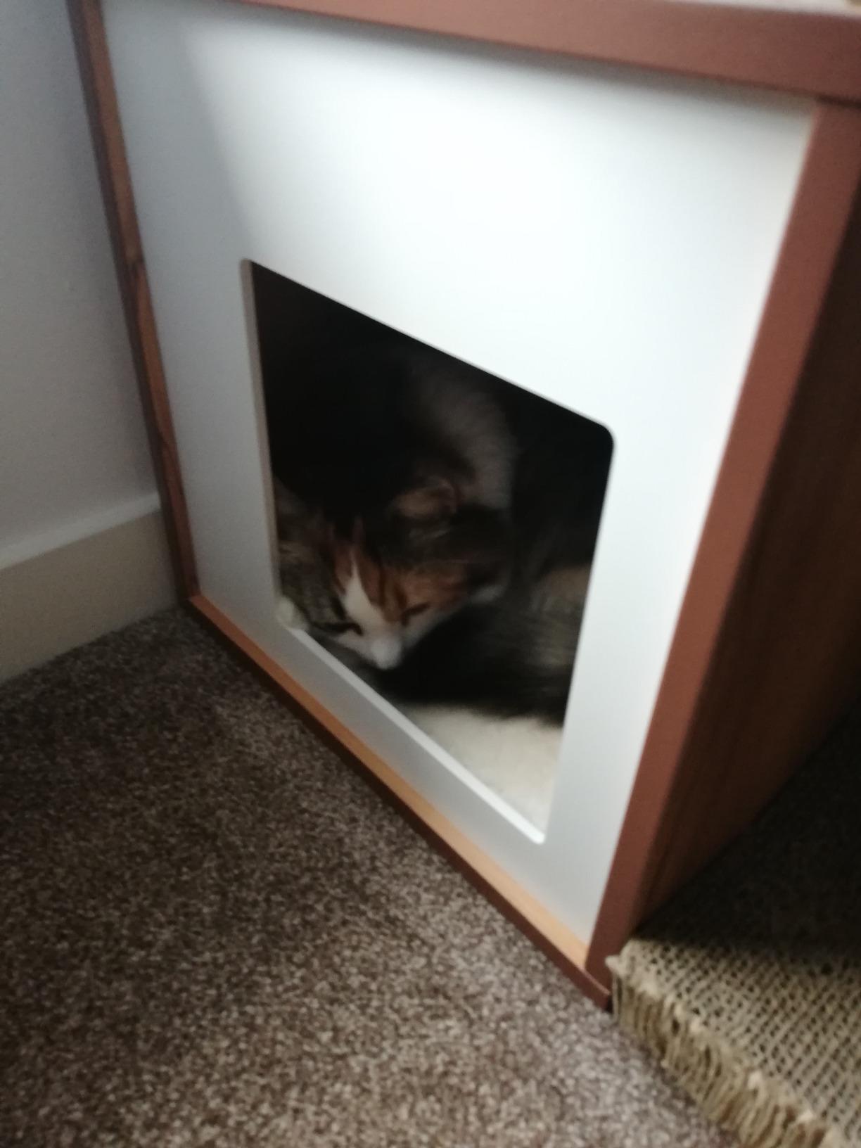 Mon senior l'a adopté