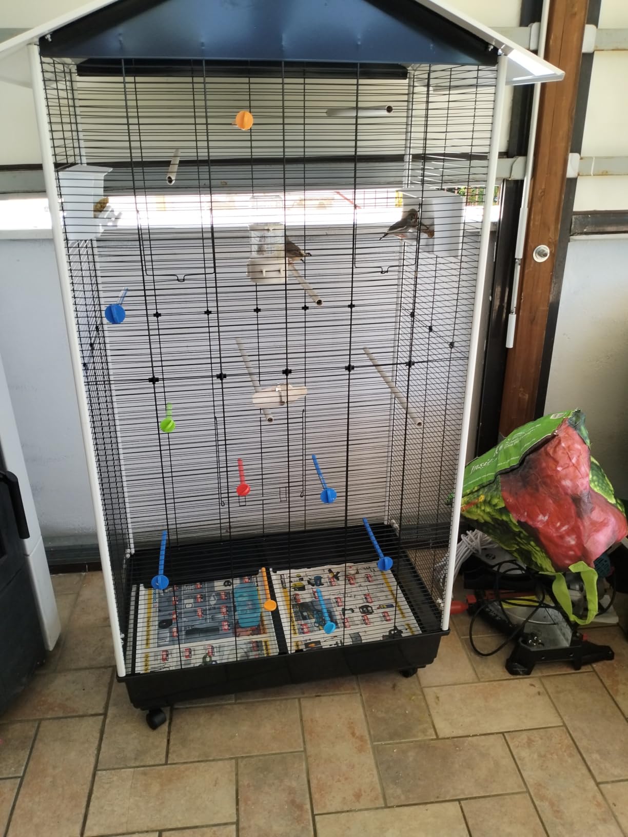 Mes oiseaux revivent
