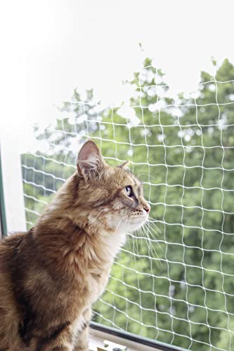 kerbl-filet-de-protection-pour-chat-2-x-3-m-transparent image 7