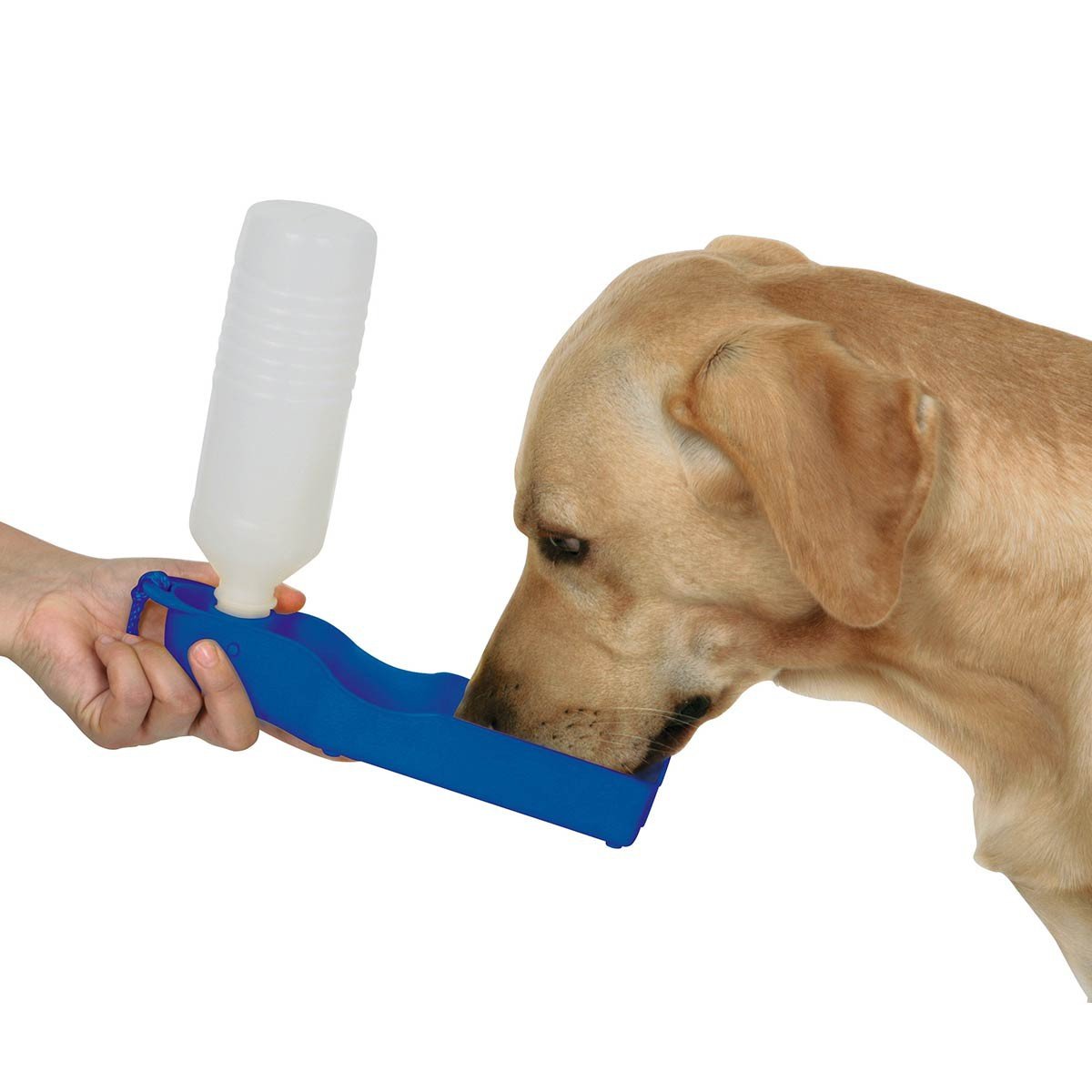 kerbl-pet-bouteille-de-voyage-chien-blanc-bleu-500-ml-pvc image 2