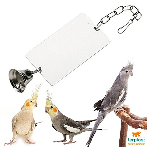 ferplast-4244-miroir-inox-grand-jouet-pour-oiseaux image 6