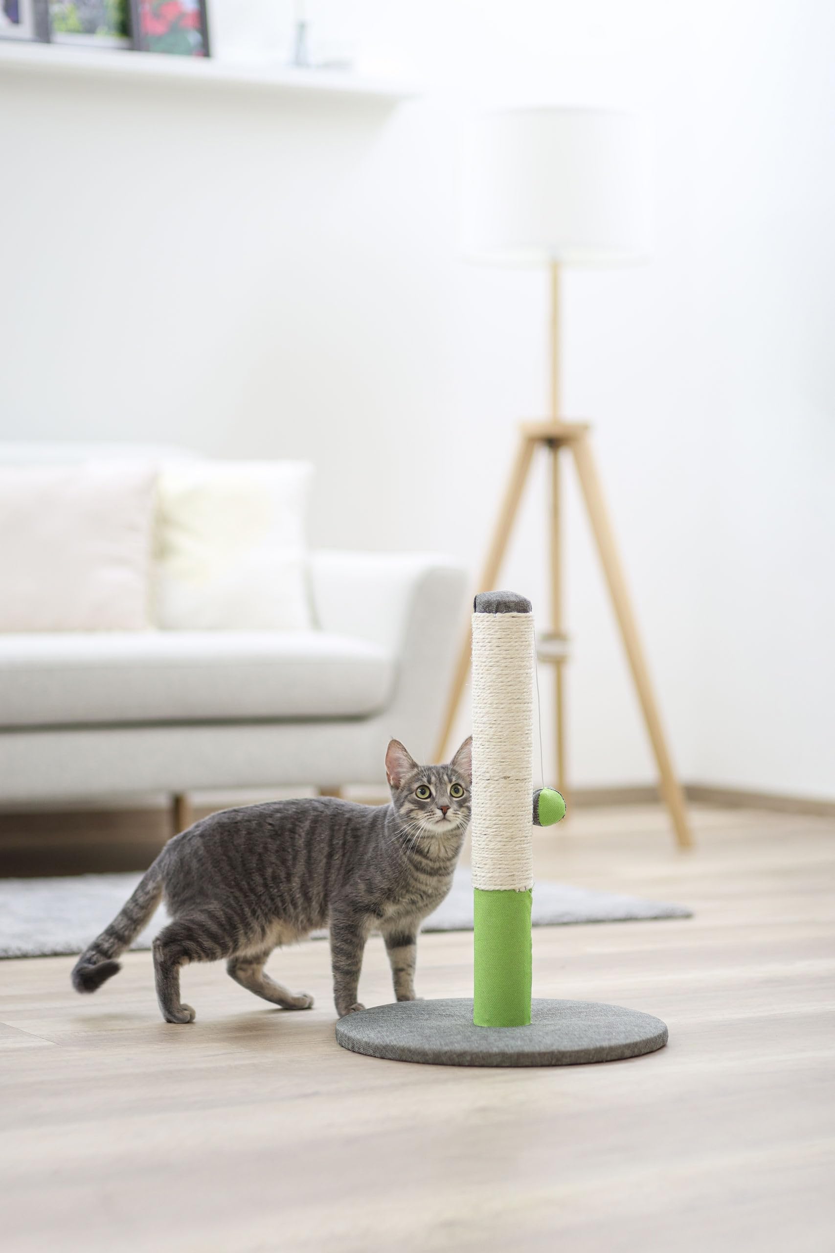 kerbl-opal-basic-arbre-chat-vert-gris-37-x-37-x-50-cm image 3