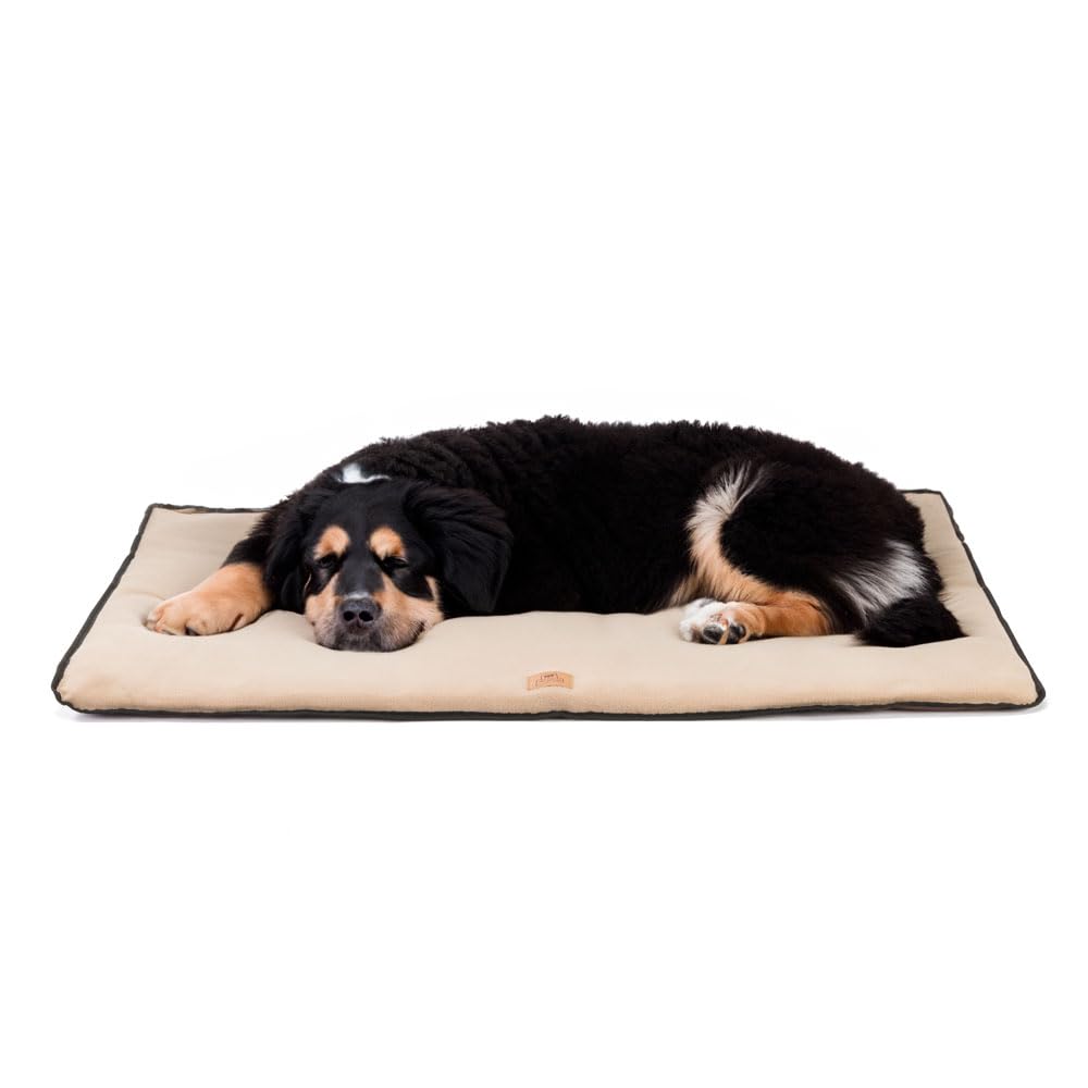 ferplast-jolly-microfleece-57-x-38-x-3-5-cm-matelas-chien-double-face-marron image 6