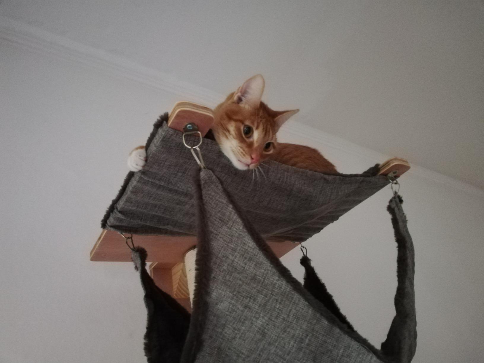 Très bien, notice perfectible