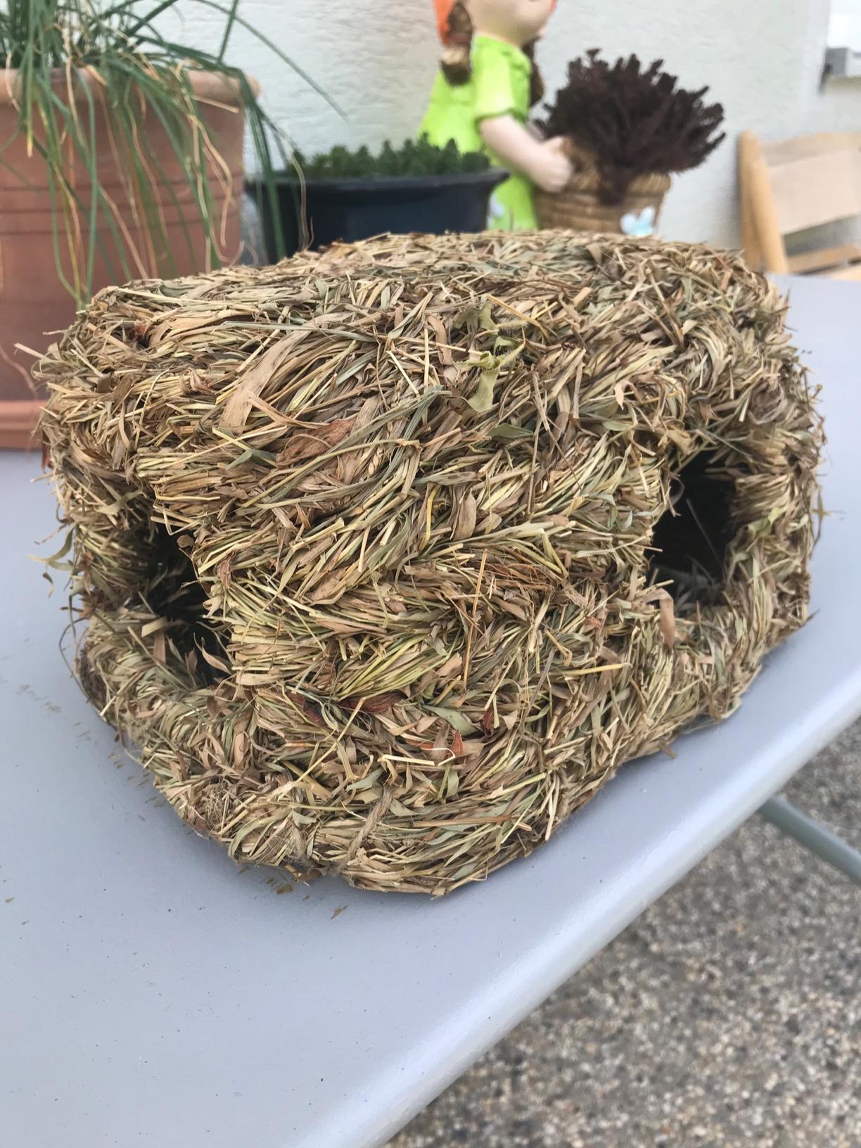 Ma hamster l'a validée