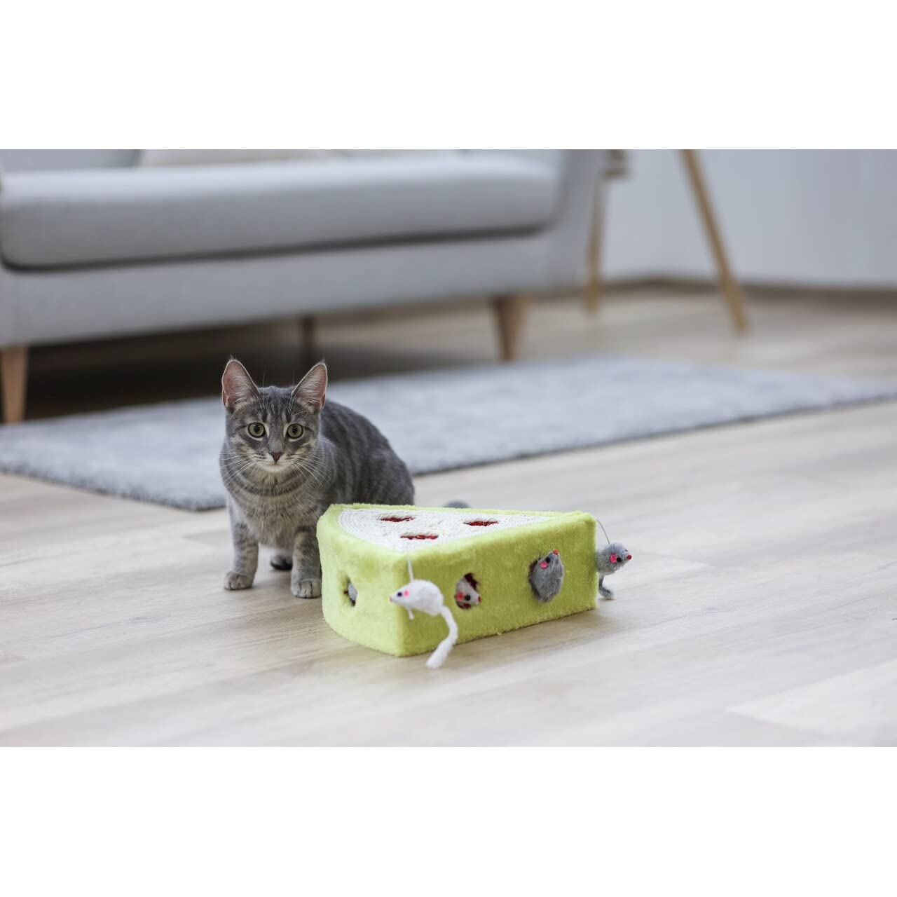 kerbl-jouet-pour-chat-sisal-cheesy-28-x-28-x-10-cm image 3