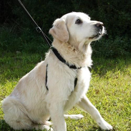 kerbl-maxi-leader-harnais-chien-55-80-cm-noir image 6