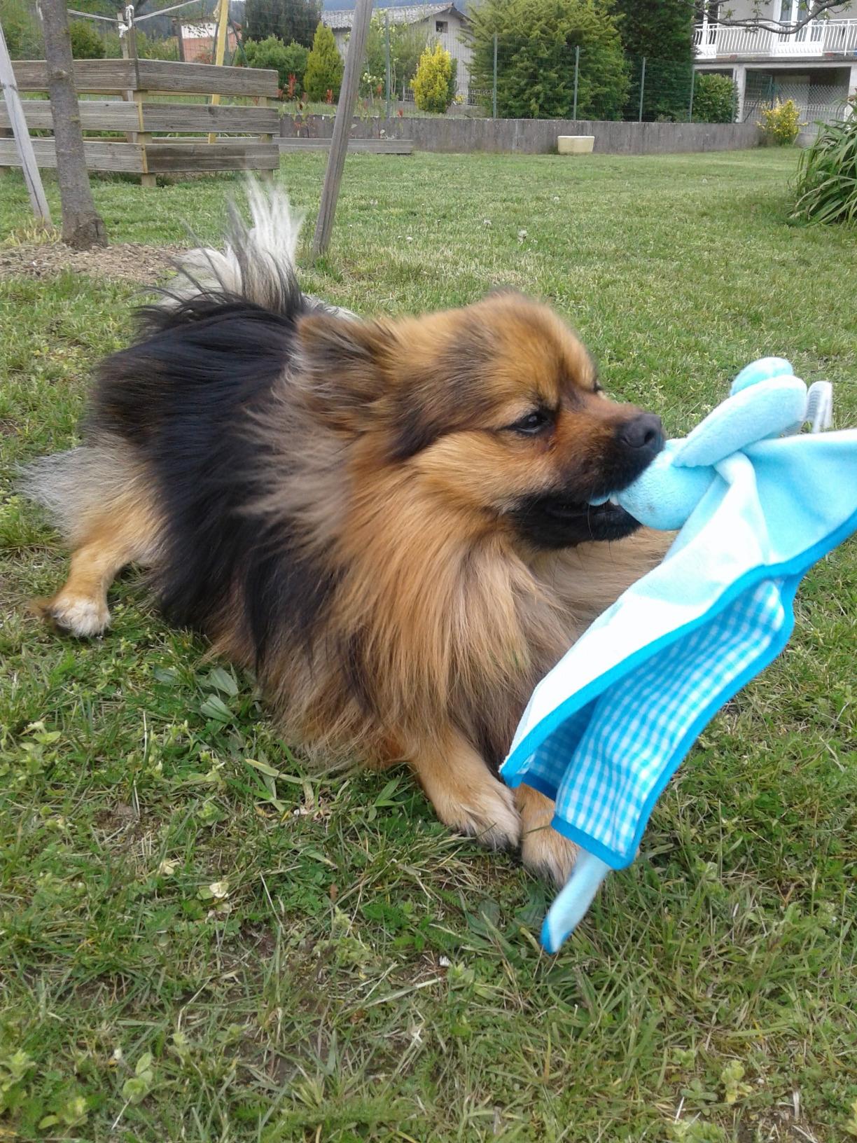 Super doudou, couineur discret