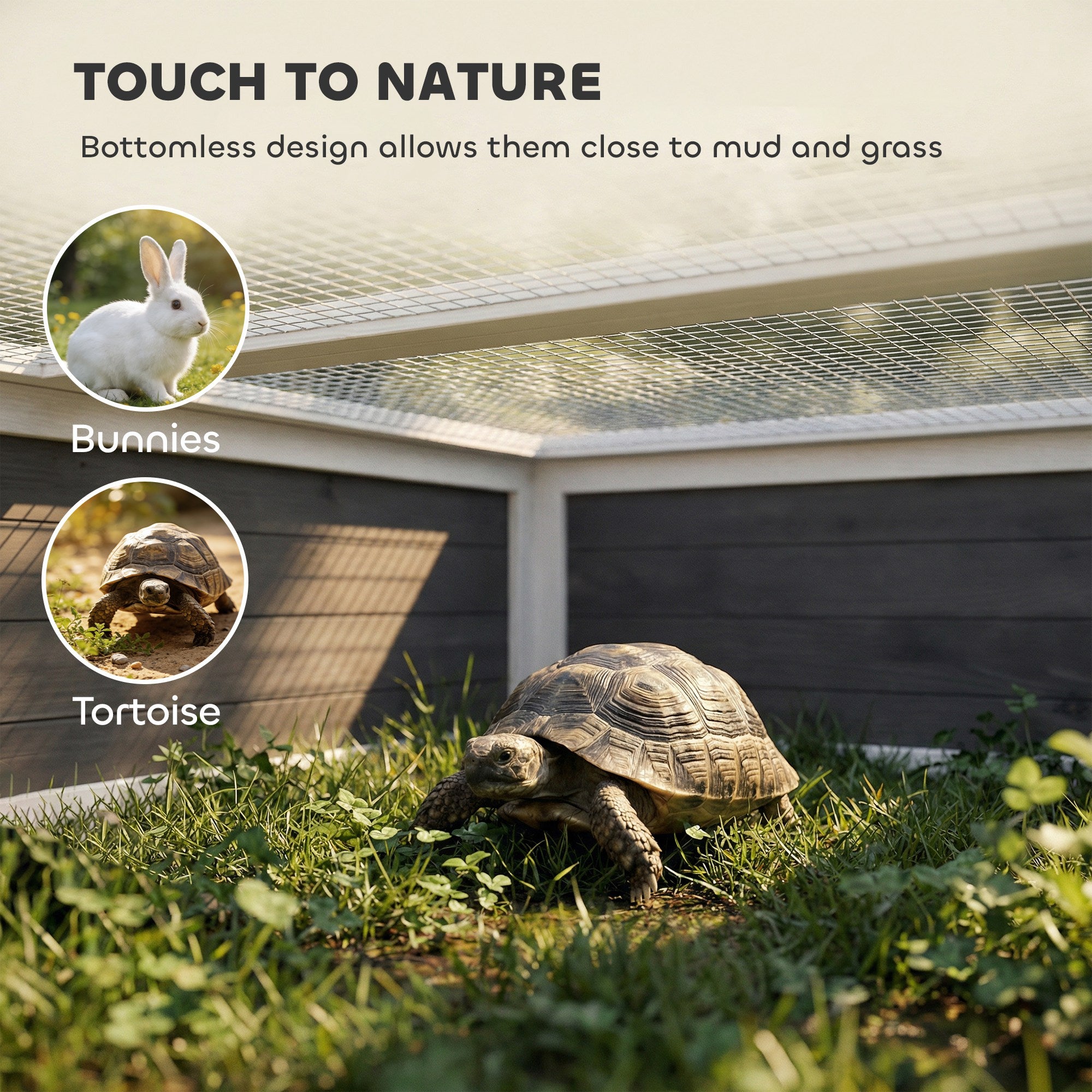 pawhut-enclos-ext-rieur-tortue-avec-parc-fen-tre-transparente-et-toit-ouvrable-g image 7